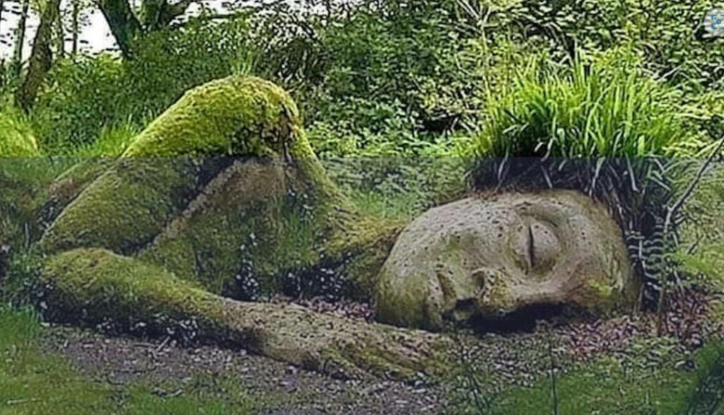 earth and foliage sculpture of woman sleeping